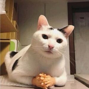 Jessica’s Closet 🌞♍️ ⬆️♈️🌛♊️🧿